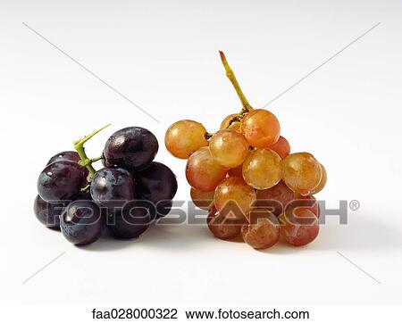 Purple and red grapes, close-up View Large Photo Image Stock Image - Purple and red grapes, close-up. Fotosearch