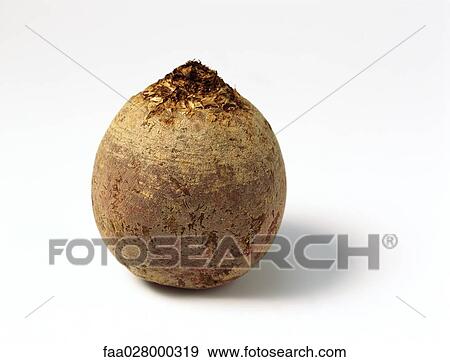 Stock Photo - Raw beet root, close-up. Fotosearch