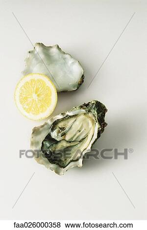 Raw oyster and lemon slice, high angle view View Large Photo Image Stock Photo - Raw oyster and lemon slice, high angle view. Fotosearch