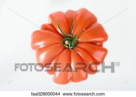 Ripe heirloom tomato, high angle view View Large Photo Image Picture - Ripe heirloom tomato, high angle view. Fotosearch