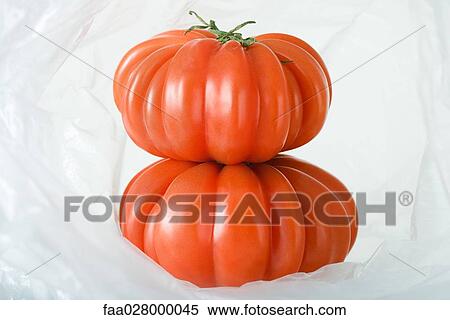 Ripe heirloom tomatoes stacked inside plastic bag, close-up View Large Photo Image Stock Photography - Ripe heirloom tomatoes stacked inside plastic bag, close-up. Fotosearch