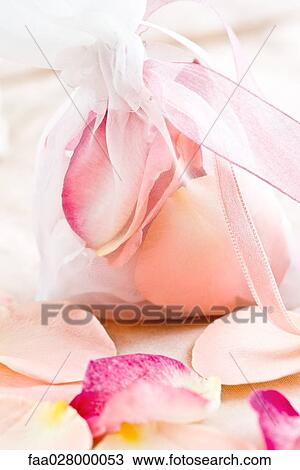 Sachet and rose petals, close-up View Large Photo Image Stock Image - Sachet and rose petals, close-up. Fotosearch