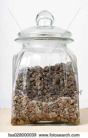 Salted capers in jar, close-up View Large Photo Image Stock Photo - Salted capers in jar, close-up. Fotosearch