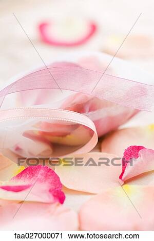 Scattered flower petals and ribbons, close-up View Large Photo Image Stock Image - Scattered flower petals and ribbons, close-up. Fotosearch