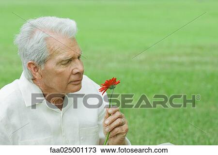 Senior man holding up flower, head and shoulders, portrait View Large Photo Image Stock Image - Senior man holding up flower, head and shoulders, portrait. Fotosearch