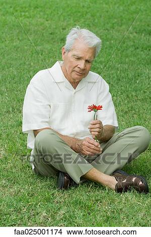 Picture - Senior man sitting on grass, holding flower, full length. Fotosearch