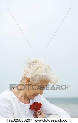 Stock Photo - Senior woman holding gerbera daisy, looking down, close-up. Fotosearch
