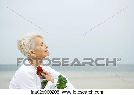 Senior woman holding gerbera daisy against chest, eyes closed, profile View Large Photo Image Stock Photograph - Senior woman holding gerbera daisy against chest, eyes closed, profile. Fotosearch