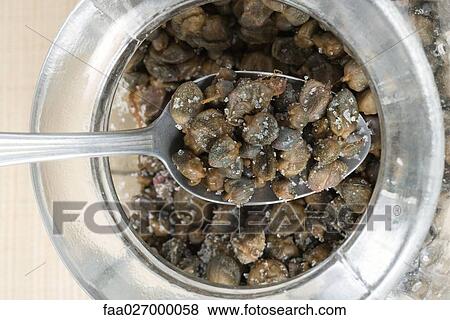 Spoonful of capers and salt over jar, close-up View Large Photo Image Stock Photo - Spoonful of capers and salt over jar, close-up. Fotosearch