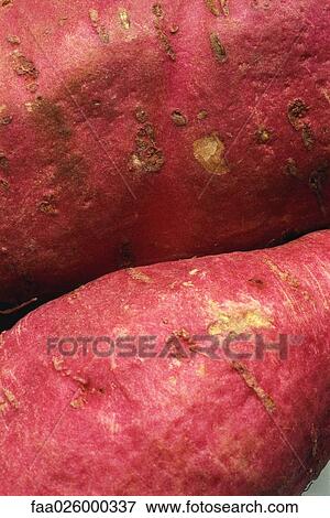 Sweet potatoes, close-up, full frame View Large Photo Image Stock Photo - Sweet potatoes, close-up, full frame. Fotosearch