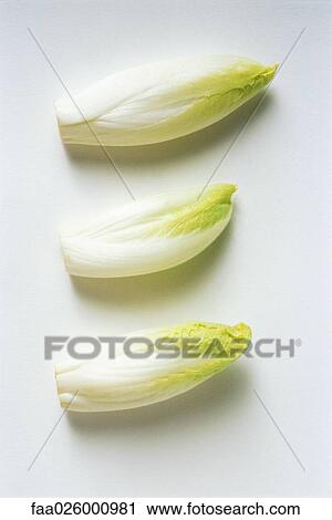 Stock Image - Three endives, close-up. Fotosearch