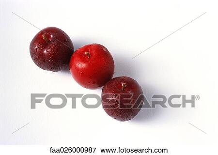 Three plums in a row, close-up View Large Photo Image Stock Photo - Three plums in a row, close-up. Fotosearch
