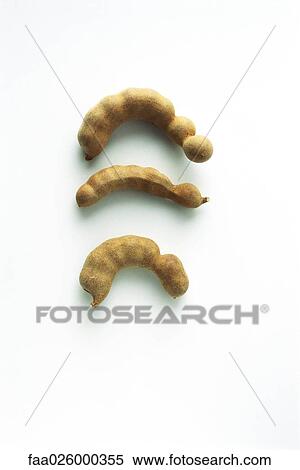Three tamarinds, high angle view View Large Photo Image Stock Photography - Three tamarinds, high angle view. Fotosearch