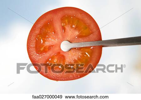 Tongs holding tomato slice, close-up View Large Photo Image Stock Photo - Tongs holding tomato slice, close-up. Fotosearch
