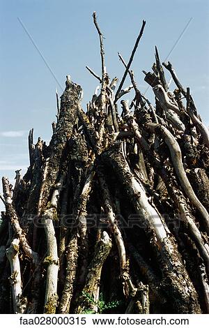 Tree branches in a heap, close-up View Large Photo Image Stock Photography - Tree branches in a heap, close-up. Fotosearch