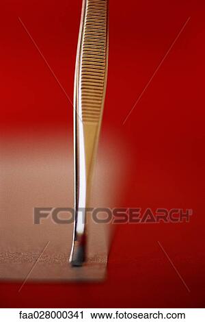 Tweezers, extreme close-up View Large Photo Image Stock Image - Tweezers, extreme close-up. Fotosearch