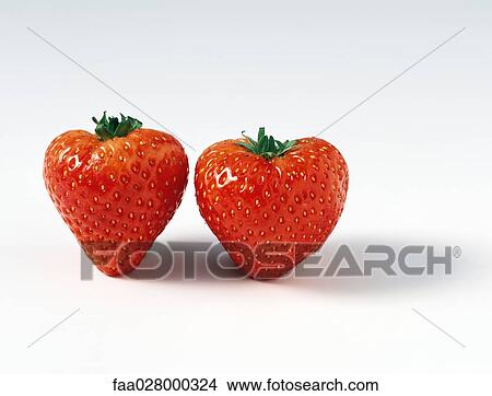 Two ripe strawberries, close-up View Large Photo Image Picture - Two ripe strawberries, close-up. Fotosearch