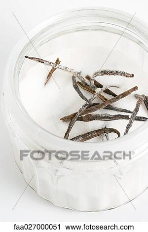 Vanilla beans and sugar in jar, close-up View Large Photo Image Stock Image - Vanilla beans and sugar in jar, close-up. Fotosearch