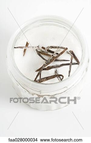 Vanilla pods and sugar in jar, high angle view View Large Photo Image Picture - Vanilla pods and sugar in jar, high angle view. Fotosearch