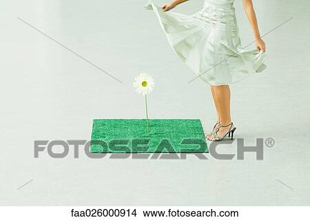 Woman in dress standing next to gerbera daisy growing out of artificial turf, cropped view View Large Photo Image Picture - Woman in dress standing next to gerbera daisy growing out of artificial turf, cropped view. Fotosearch