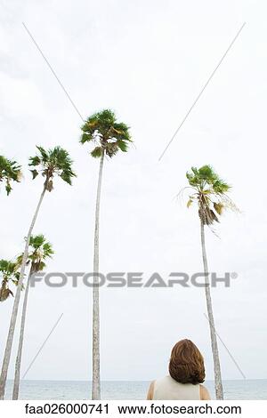 Woman looking toward sea and palm trees, rear view View Large Photo Image Stock Image - Woman looking toward sea and palm trees, rear view. Fotosearch