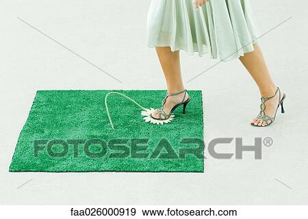 Woman stepping on artificial turf, crushing gerbera daisy with foot, cropped view View Large Photo Image Stock Photo - Woman stepping on artificial turf, crushing gerbera daisy with foot, cropped view. Fotosearch
