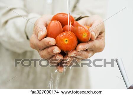 Woman washing handful of tomatoes under faucet, cropped view of hands, close-up View Large Photo Image Picture - Woman washing handful of tomatoes under faucet, cropped view of hands, close-up. Fotosearch