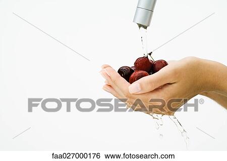 Woman washing handful of tomatoes under faucet, cropped view of hands, close-up View Large Photo Image Stock Photograph - Woman washing handful of tomatoes under faucet, cropped view of hands, close-up. Fotosearch