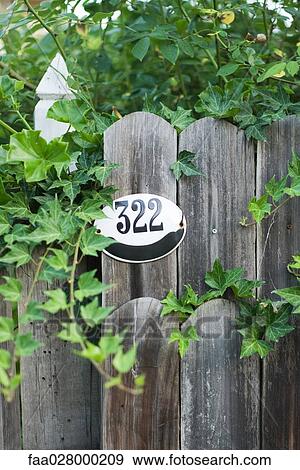 Wooden gate with number marker and ivy, close-up View Large Photo Image Stock Photo - Wooden gate with number marker and ivy, close-up. Fotosearch