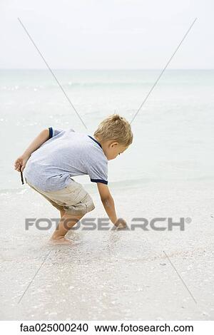 Young boy at the beach, bending over to pick up seashell, side view View Large Photo Image Stock Image - Young boy at the beach, bending over to pick up seashell, side view. Fotosearch