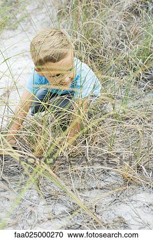Young boy crouching in tall grass, looking away View Large Photo Image Stock Image - Young boy crouching in tall grass, looking away. Fotosearch
