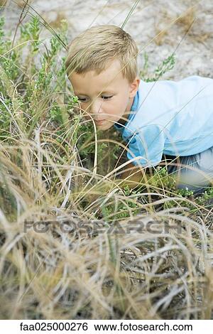 Young boy crouching in tall grass, holding blade of grass in mouth, high angle view View Large Photo Image Stock Photograph - Young boy crouching in tall grass, holding blade of grass in mouth, high angle view. Fotosearch