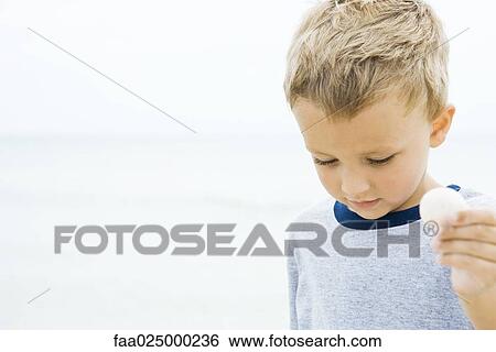 Young boy holding up seashell, looking down, cropped view View Large Photo Image Stock Photograph - Young boy holding up seashell, looking down, cropped view. Fotosearch