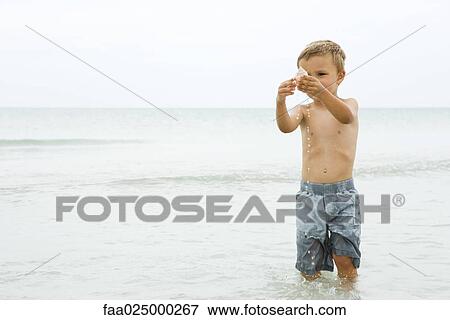 Stock Photo - Young boy standing knee deep in water, holding up seashell. Fotosearch