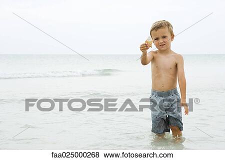 Young boy standing knee deep in water, holding up seashell, looking at camera View Large Photo Image Stock Photo - Young boy standing knee deep in water, holding up seashell, looking at camera. Fotosearch