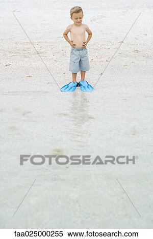 Young boy wearing flippers at the beach, standing at water's edge, looking down View Large Photo Image Stock Photography - Young boy wearing flippers at the beach, standing at water's edge, looking down. Fotosearch