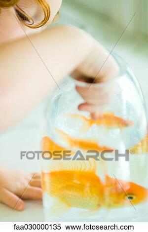 女の子 手を伸ばす に 金魚 ボール 切り取った ストックフォト 写真素材 Faa Fotosearch