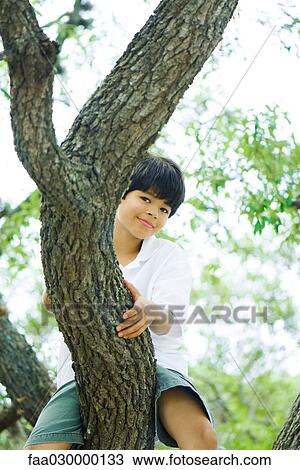 Boy sitting in tree, smiling at camera View Large Photo Image Stock Image - Boy sitting in tree, smiling at camera. Fotosearch