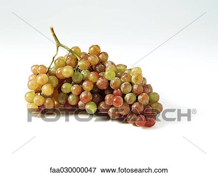 Bunch of red grapes View Large Photo Image Stock Photo - Bunch of red grapes. Fotosearch