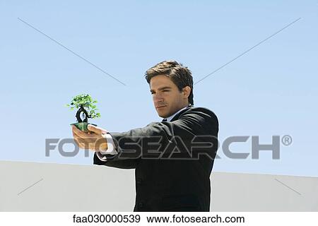 Businessman standing, holding out and looking at small potted bonsai plant View Large Photo Image Stock Photo - Businessman standing, holding out and looking at small potted bonsai plant. Fotosearch