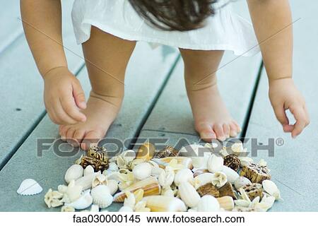 Child bending over pile of seashells, cropped view of low section View Large Photo Image Stock Photography - Child bending over pile of seashells, cropped view of low section. Fotosearch