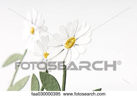 Craft daisies, close-up View Large Photo Image Stock Photography - Craft daisies, close-up. Fotosearch
