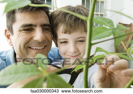 Father and son pruning plant together, smiling View Large Photo Image Stock Image - Father and son pruning plant together, smiling. Fotosearch