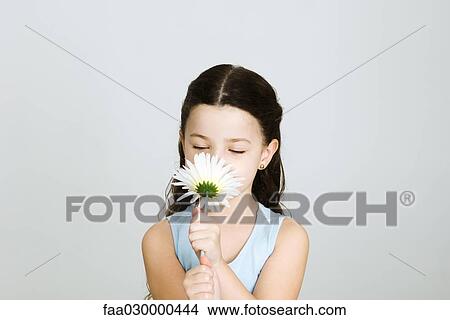 Little girl smelling flower, front view View Large Photo Image Picture - Little girl smelling flower, front view. Fotosearch
