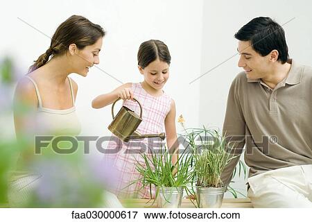 Little girl watering potted plants, parents watching, all smiling View Large Photo Image Stock Photo - Little girl watering potted plants, parents watching, all smiling. Fotosearch