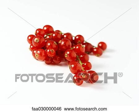 Red currants View Large Photo Image Stock Photograph - Red currants. Fotosearch