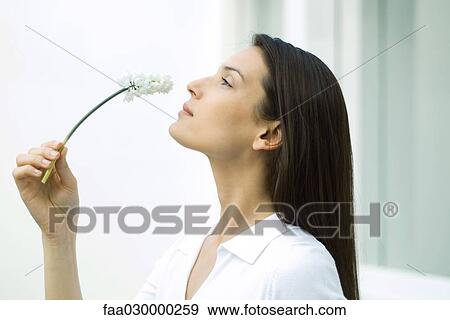 Woman smelling flower, head back, side view View Large Photo Image Stock Photo - Woman smelling flower, head back, side view. Fotosearch