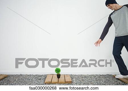 Stock Photo - Young man standing on wooden plank, reaching toward potted bonsai. Fotosearch
