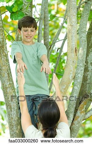 Boy in tree, mother reaching up to help him down View Large Photo Image Stock Image - Boy in tree, mother reaching up to help him down. Fotosearch