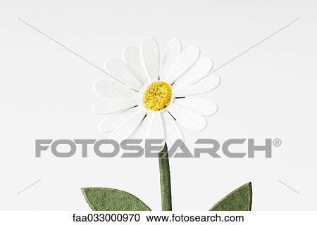 Stock Image - Craft daisy, close-up. Fotosearch